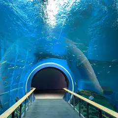 滋賀県立琵琶湖博物館