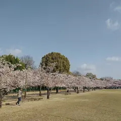 東御屋敷跡公園