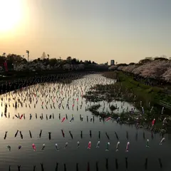 城沼総合運動公園