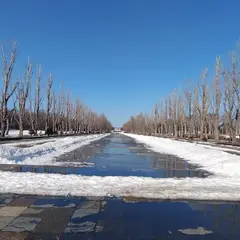 前田森林公園