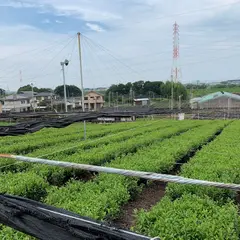 稲荷山茶園公園