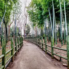 すずめのお宿緑地公園