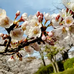 金沢南総合運動公園