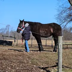 Happy Trails Farm Animal Sanctuary, Inc.