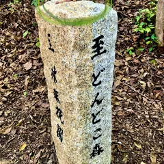 木漏れ日の尾根道