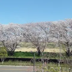 真如苑 北陸本部