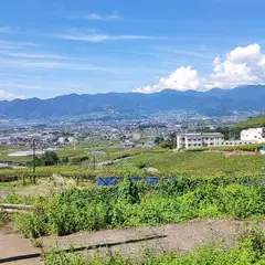 フルーツライン