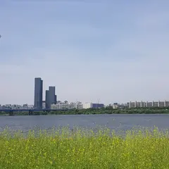 ソレ島/ソレソム/서래섬
