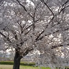 障害者支援施設青空