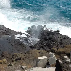 Halona Blowhole Lookout