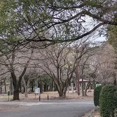 多摩霊園 墓地