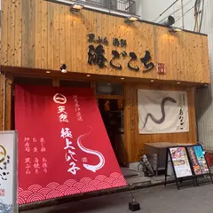 天ぷら 海ごこち