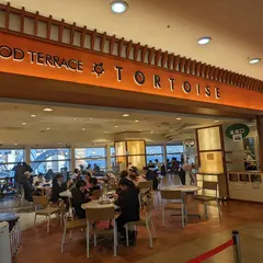 food terrace TORTOISE