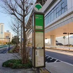 東京国際クルーズターミナル駅前