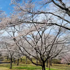 みちのく公園
