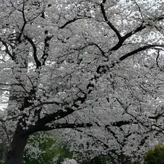 北野公園