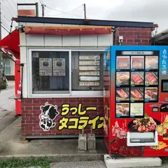 うっしータコライス
