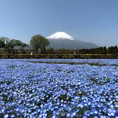 山中湖花の都公園 清流の里