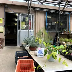 格三園芸センター