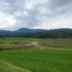 明光寺の棚田