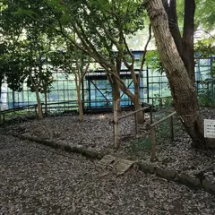 千葉市泉谷公園 ほたる生態園