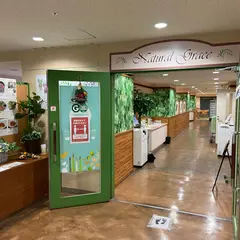 ナチュラルグレース県庁食堂