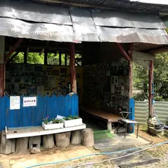 五丈の滝前植物園
