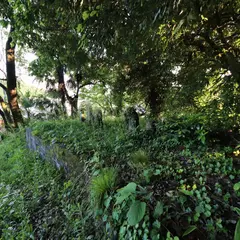 鳥越弘願寺跡