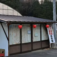 森本農園