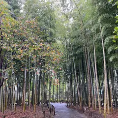 たけのこ公園