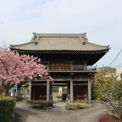 海善寺