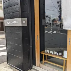 手作りふりかけ専門店「FURIKAKERU」
