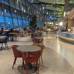 The Hainan Story