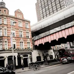 The Wellington