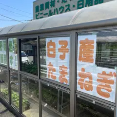 グリーンプラザオカザワ