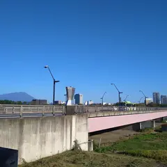 盛南大橋