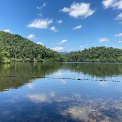 宝が池公園 野鳥の森