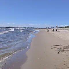 幕張の浜