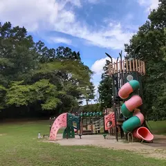 平成記念郡山こどものもり公園