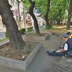 木陰の休憩所