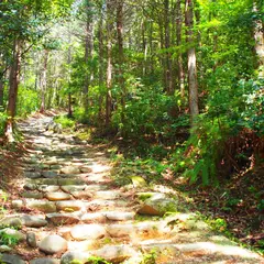 権現山（御嶽山）
