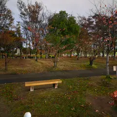 開成山公園 幼児広場