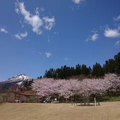 亀ケ城公園