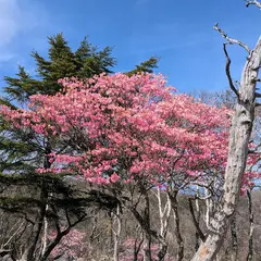 賽の河原