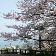音無山山頂