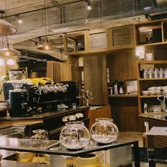 Coppii Lumii living coffee