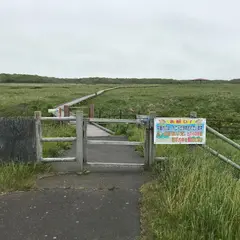 北方原生花園