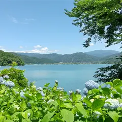 あじさい園