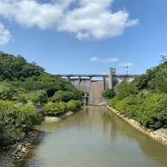 マングローブ植林
