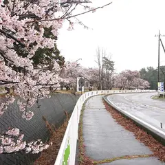 陸上自衛隊 相馬原駐屯地